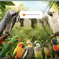 خرید و فروش ملنگو