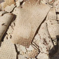 نان خشک تمیز لواش