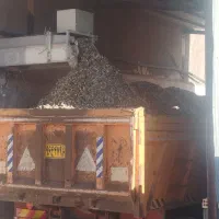 فروش کود حیوانی گوسفندی و مرغی|خدمات باغبانی و درختکاری|فریمان, |دیوار