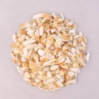 سنگ تامبل شده