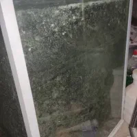 آکواریوم شرکتی