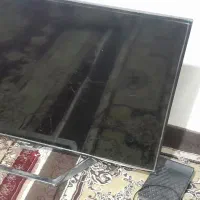 تلویزیون