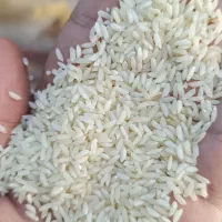 برنج عنبر خارجی سنمسوری|خوردنی و آشامیدنی|اهواز, اسلام آباد شرقی|دیوار
