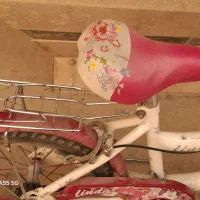 فروش دوچرخه دخترانه