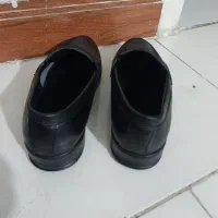 کفش کالج|کیف، کفش، کمربند|بهارستان, |دیوار