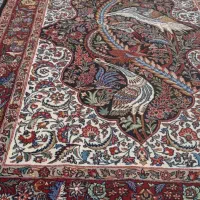 دو زر مرغ ماهی خوار