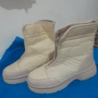 پوتین وکفش مجلس