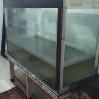 فروش آکواریوم ماهی