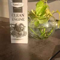 نمایندگی رسمی موتورشوریاچربی زدانانوسان(اصلی)