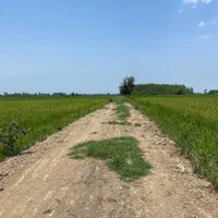 فروش ۳۱۰۰ متری بیجار (زمین کشاورزی)مهویزان|فروش دفتر صنعتی، کشاورزی، تجاری|گوراب زرمیخ, |دیوار