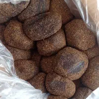 پخش گراکو