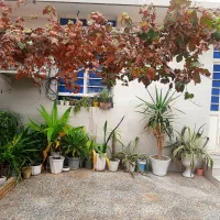 منزل اجاره ای|اجارهٔ کوتاهمدت آپارتمان و سوئیت|بندر گناوه, |دیوار