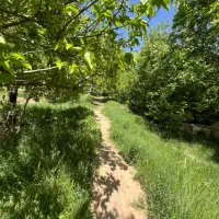 فروش-باغچه-ویلا-همیجان-دم-غنات