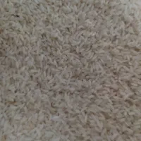 برنج عنبربو