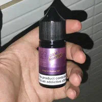 پادسالت بلو بری جم تارت اورجینال