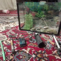 آکواریوم با لوازم جانبی|ماهی|مشهد, ایثار|دیوار