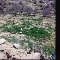 فروش ۱۰۰۰ متری