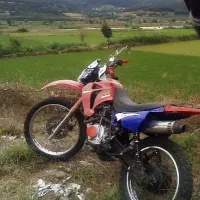 تریل جی وای