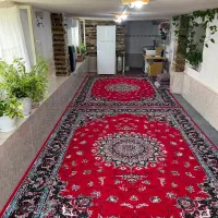 اجاره سوئیت|اجارهٔ کوتاه‌مدت آپارتمان و سوئیت|لیسار, |دیوار