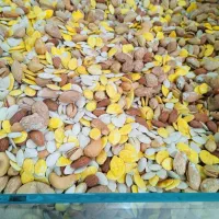 اجیل مراسمات در کمترین زمان وقیمت مناسب