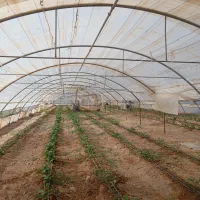 فروش گلخانه