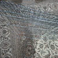 پارک سگ و گربه|لوازم جانبی حیوانات|کرج, شهرک فهمیده|دیوار