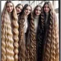 خرمایی بور طلایی مو سفید کوتاه شده