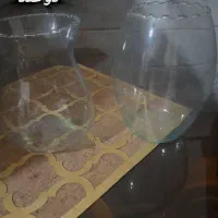 تنگ ماهی و غذا ماهی