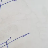 فروش اتو پرس منزل