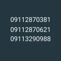 0911/287/0381