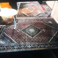 فرش طبیعی|فرش|اردبیل, |دیوار