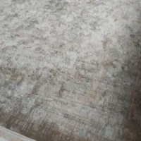 در حد نو|فرش|لاهیجان, بازکیاگوراب|دیوار