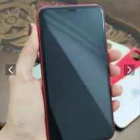 آیفون ۱۱ نرمال|موبایل|مشهد, شاهد (شهرک غرب)|دیوار