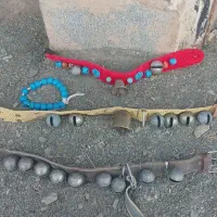 قلاده سگ