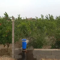 باغ ویلا ۴۰۰ متری محصور در الوسجرد ساوه