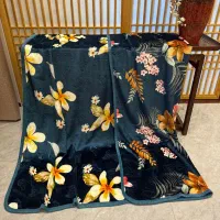 فروش اقساطی پتو وارداتی|رختخواب، بالش، پتو|تربت جام, میان جام|دیوار