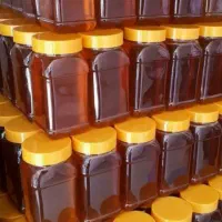 عسل طبیعی زاگرس