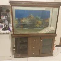 اکواریوم ۱۲ میل ۱۲۰ در ۸۰