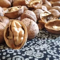 گردوی درجه ۱
