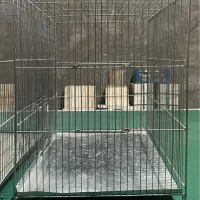 قفس پرنده و لوازم مربوط|لوازم جانبی حیوانات|محلات, |دیوار