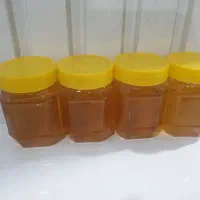 عسل بهاره و اصل از کوه های اسفراین|خوردنی و آشامیدنی|نیشابور, شهرک قدس|دیوار