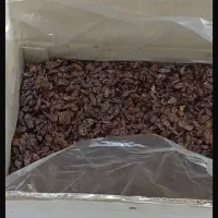 کشمش افتابی|خوردنی و آشامیدنی|ری, شهرک نظامی|دیوار