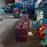 کار در سبد سازی