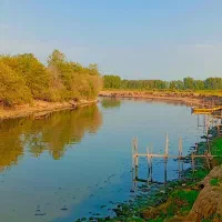 قایق سواری و تالاب گردی|تور و چارتر|بندر انزلی, قلم گوده|دیوار