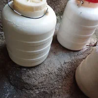 دوغ خس ( دوی دوچن)