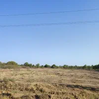 زمین زراعی|فروش دفتر صنعتی، کشاورزی، تجاری|اقبالیه, |دیوار