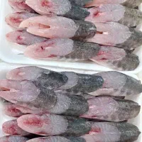 ماهی ومیگو|ماهی|شیراز, شهرک بهار|دیوار