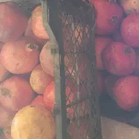 رب انار خالص وملس محصول باغ خودمون|خوردنی و آشامیدنی|رشت, چله خانه|دیوار