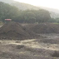 کود حیوانی گوسفندی سوخته|خدمات باغبانی و درختکاری|خرمآباد, |دیوار