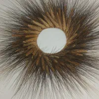 گل تزیینی گندم